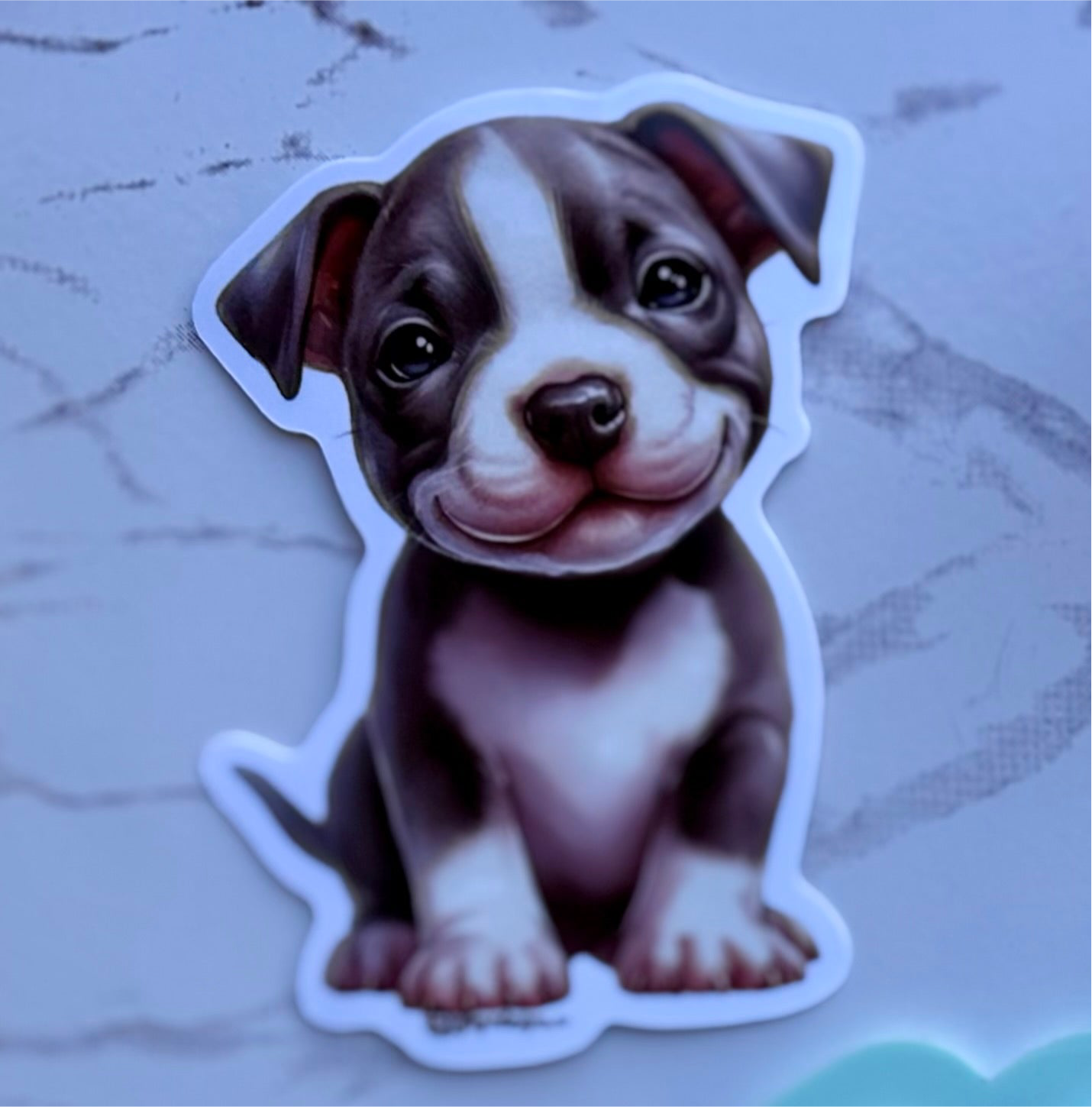 American Bully/ XL Bully Puppy STICKER