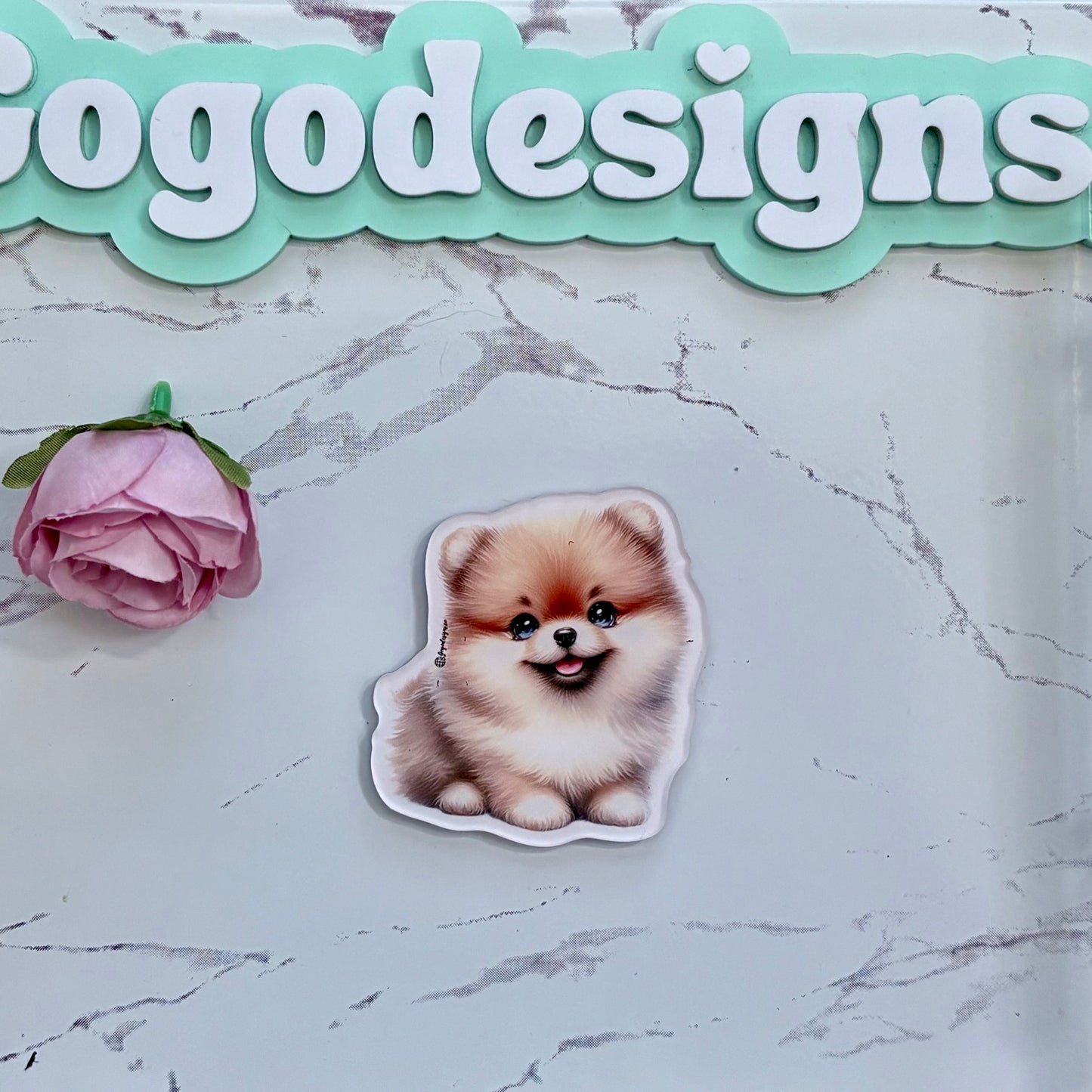 POMERANIAN PUPPY 2.5" Acrylic Full Cover Magnet with Back Magnet - Stylish and Durable