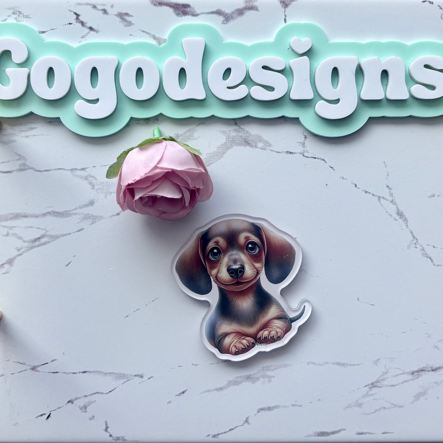 DACHSHUND 2.5" Acrylic Full Cover Magnet with Back Magnet - Stylish and Durable