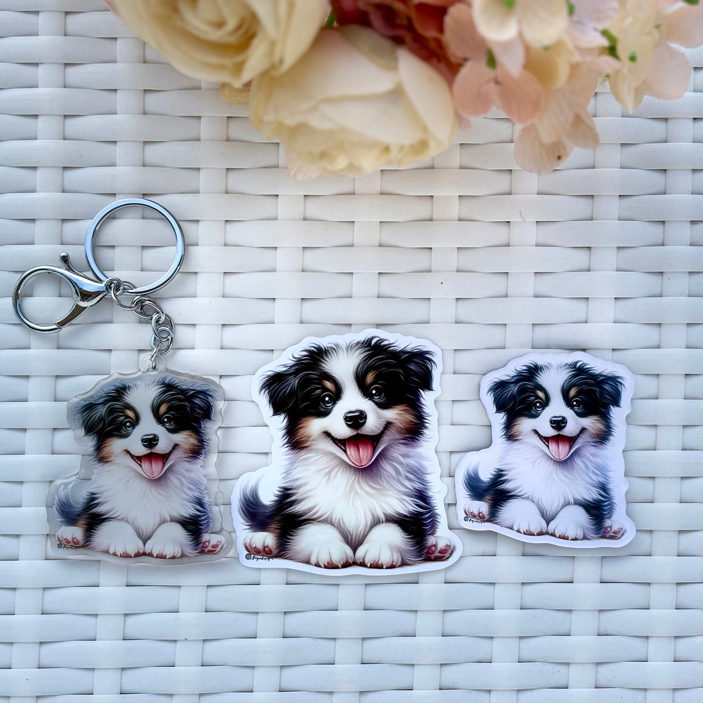 BORDER COLLIE Puppy STICKER