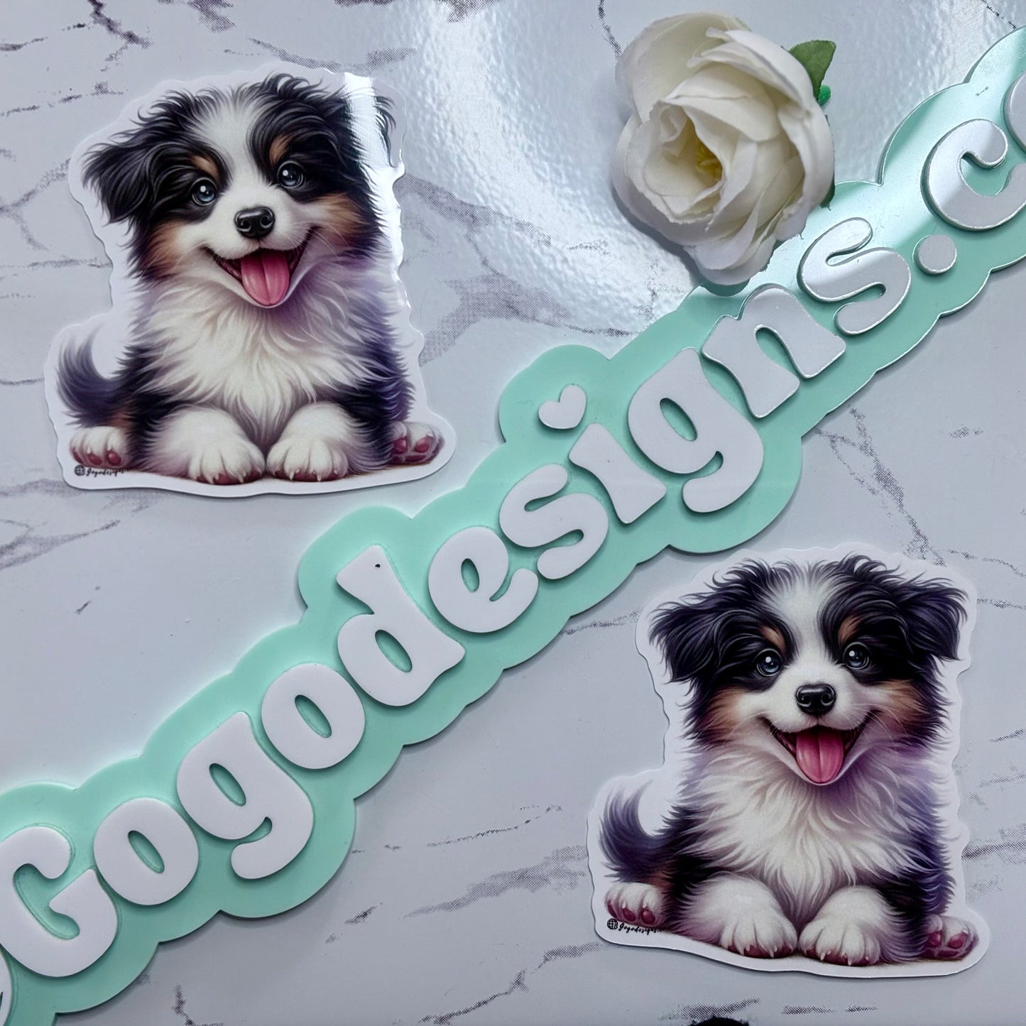 BORDER COLLIE Puppy STICKER