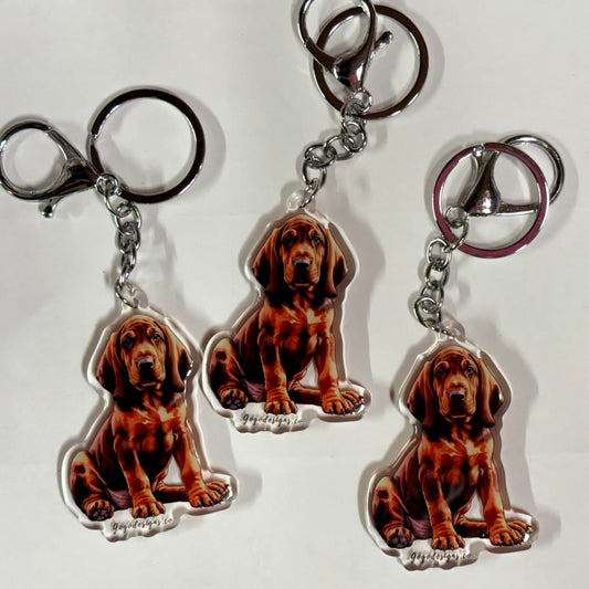 BLOOD HOUND 2.5 Acrylic Dog Keychain with Epoxy Resin | Easy-Clip, Cute Dog Cartoon, Hand-Drawn Design, water- colored, Dog Lover Gift